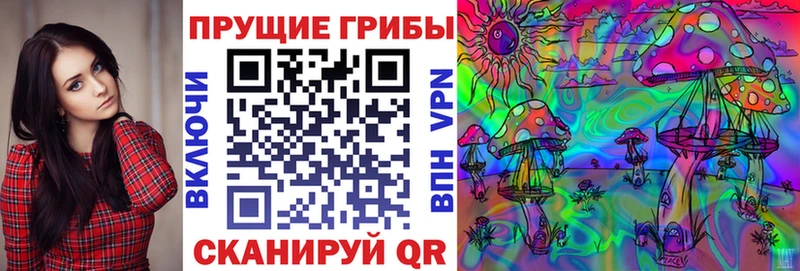 Галлюциногенные грибы MAGIC MUSHROOMS  дарнет шоп  Тулун 